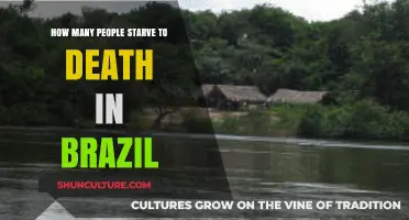 Brazil's Hunger Crisis: Understanding Starvation Deaths and Solutions