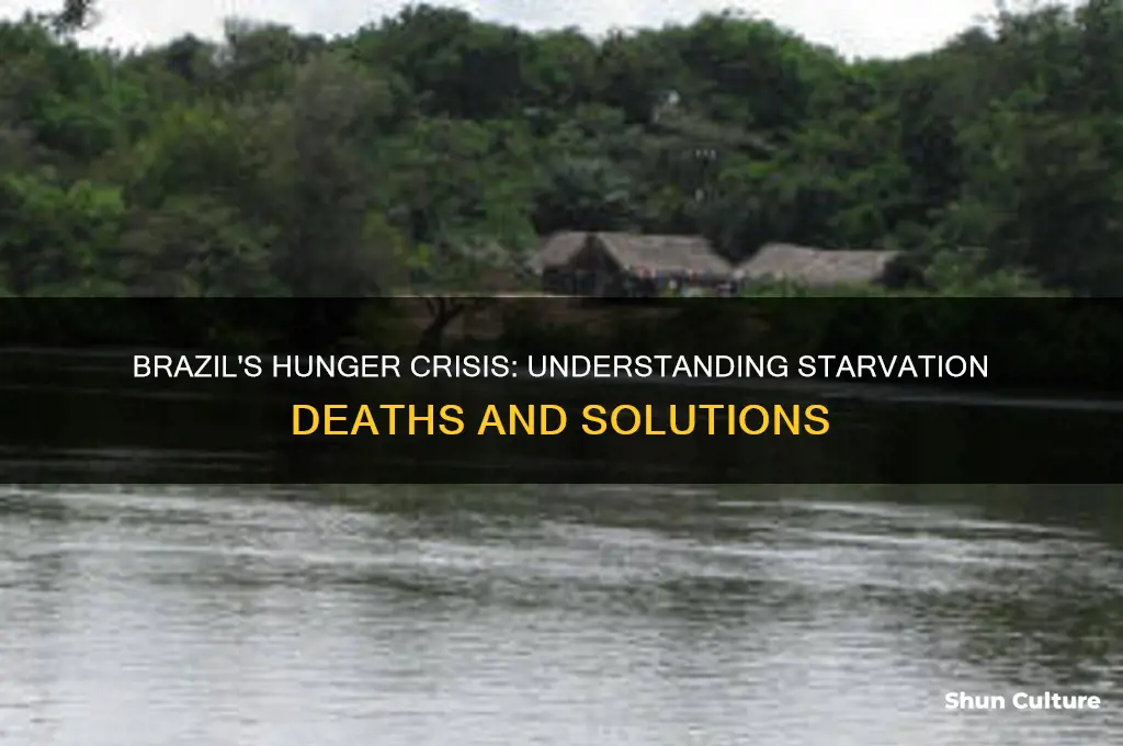 how many people starve to death in brazil