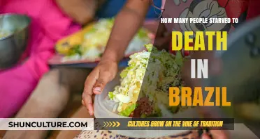 Brazil's Hunger Crisis: Uncovering the Devastating Toll of Starvation