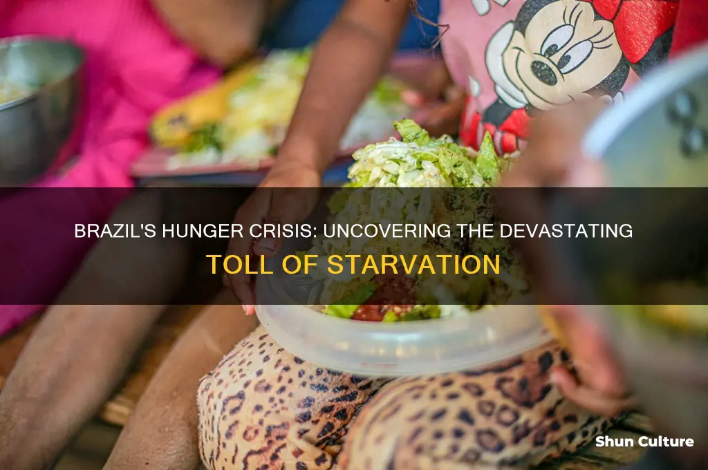 how many people starved to death in brazil