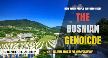 The Bosnian Genocide's Devastating Toll: Lives Lost and Affected