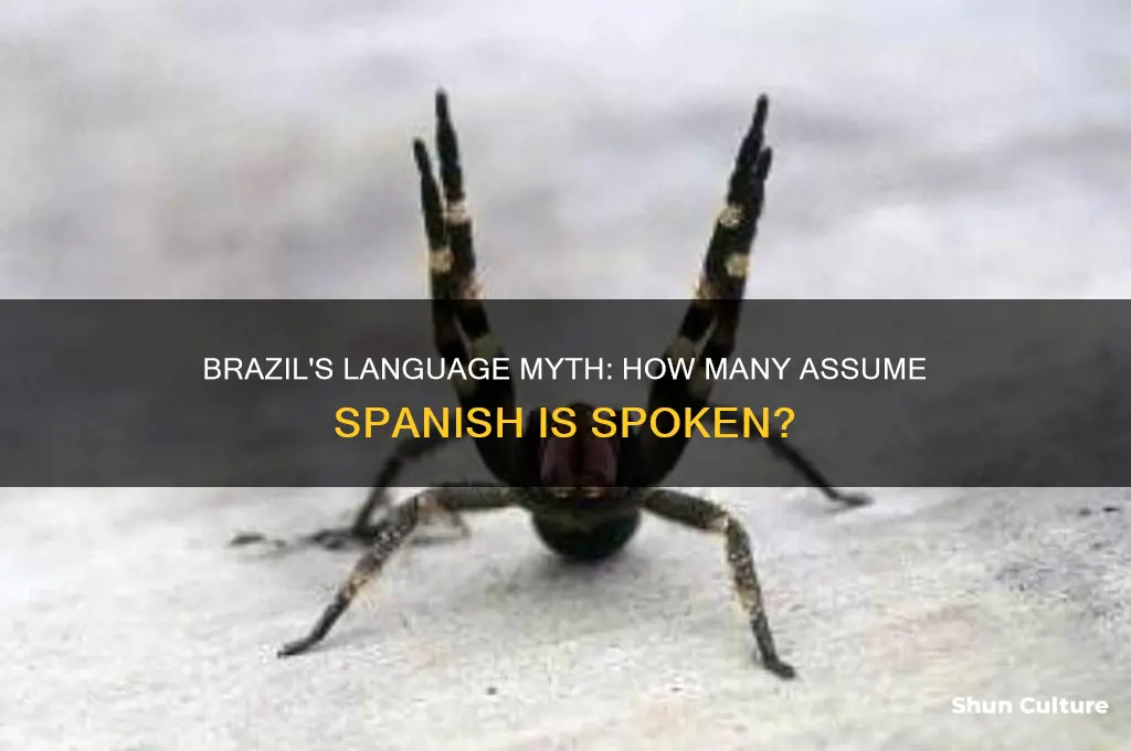 how many people think brazil speaks spanish