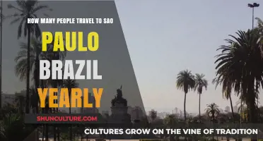 Exploring São Paulo: Annual Visitor Numbers to Brazil's Bustling Metropolis
