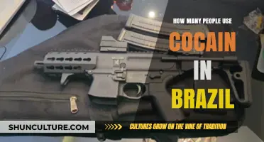 Cocaine Use in Brazil: Uncovering the Scope of Consumption
