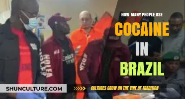 Cocaine Use in Brazil: Uncovering the Scope of Consumption