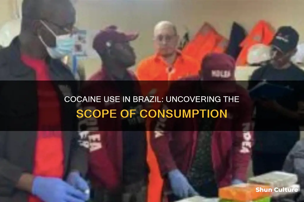 how many people use cocaine in brazil