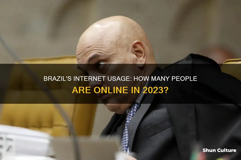 how many people use the internet in brazil