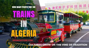 Algeria's Train Usage: How Many Passengers Ride Daily?