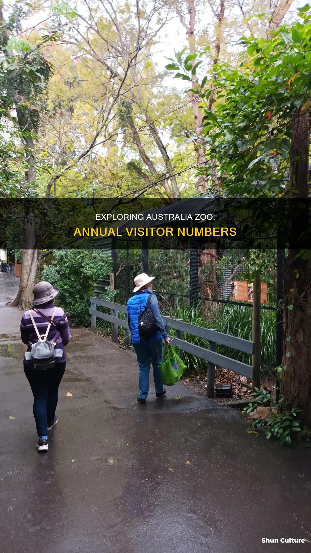 how many people visit australia zoo each year