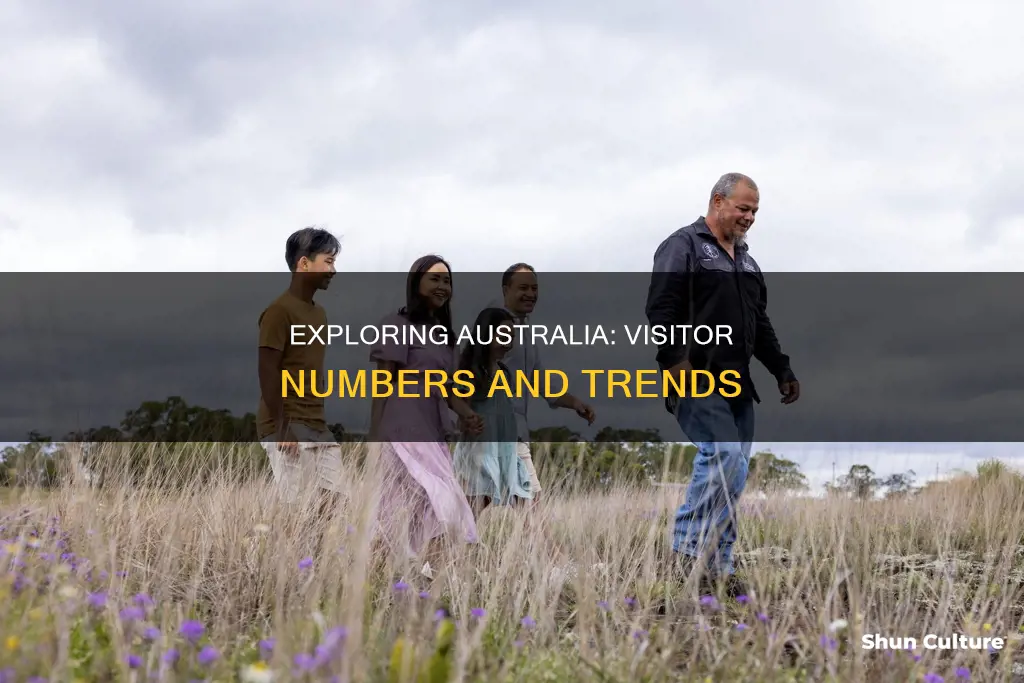 how many people visit australia
