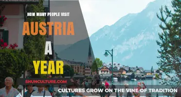 Unveiling Austria's Annual Visitor Magnetism: A Global Perspective