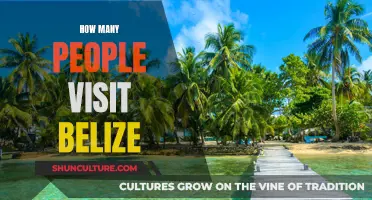 Belize's Tourism Appeal: A Look at the Numbers