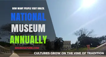 Annual Visitor Numbers: Exploring Brazil's National Museum Popularity