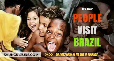 Exploring Brazil's Tourism: Annual Visitor Numbers and Trends