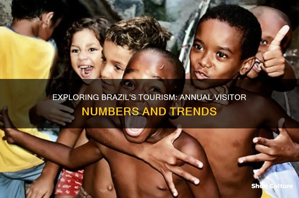 how many people visit brazil