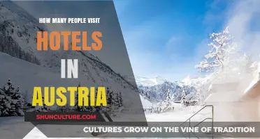 Exploring Austria's Hotel Scene: Unlocking Visitor Insights