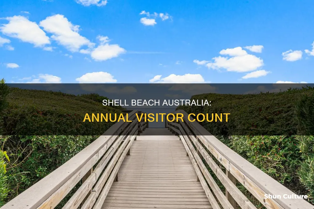 how many people visit shell beach australia each year