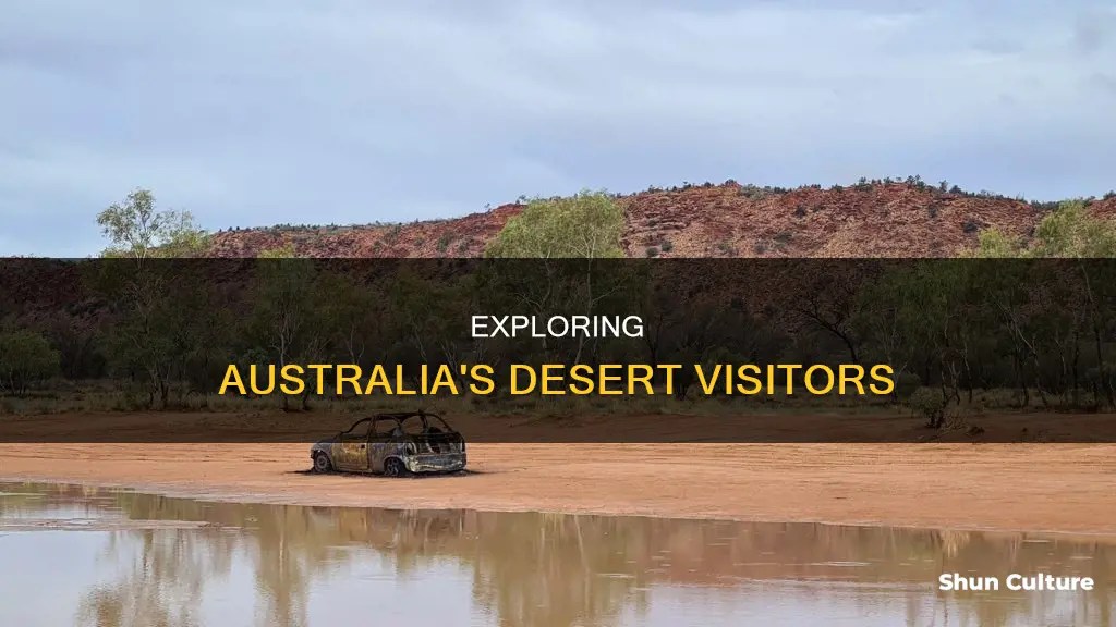 how many people visit the australian deserts