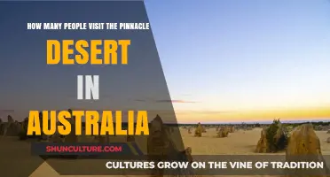 Exploring Australia: Pinnacle Desert Visitors