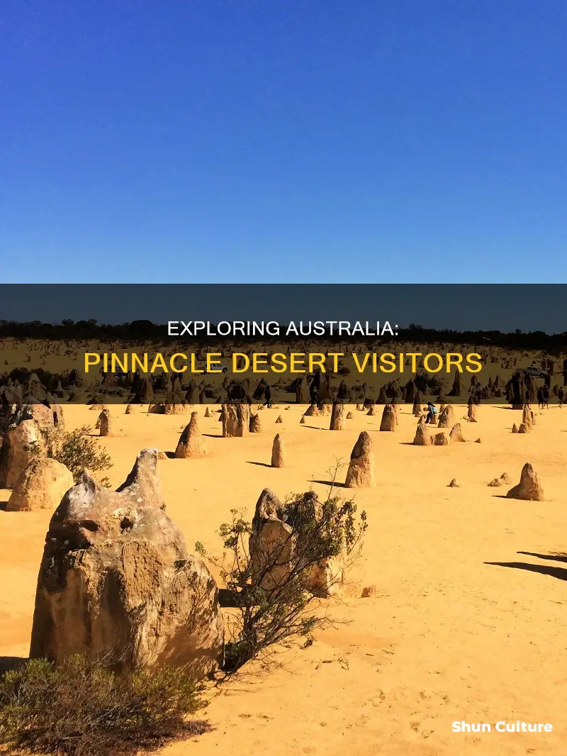how many people visit the pinnacle desert in australia