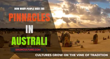 Exploring the Pinnacles: Visitor Numbers and Insights