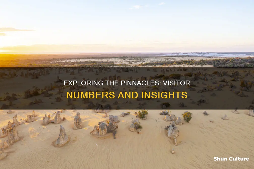 how many people visit the pinnacles in australi
