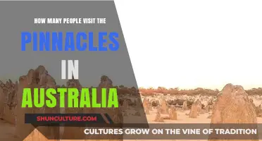 Exploring the Pinnacles: Visitor Numbers and Facts