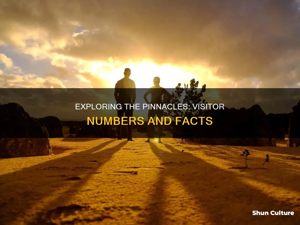 how many people visit the pinnacles in australia