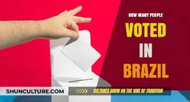 Brazil's Voter Turnout: Analyzing Participation in Recent Elections