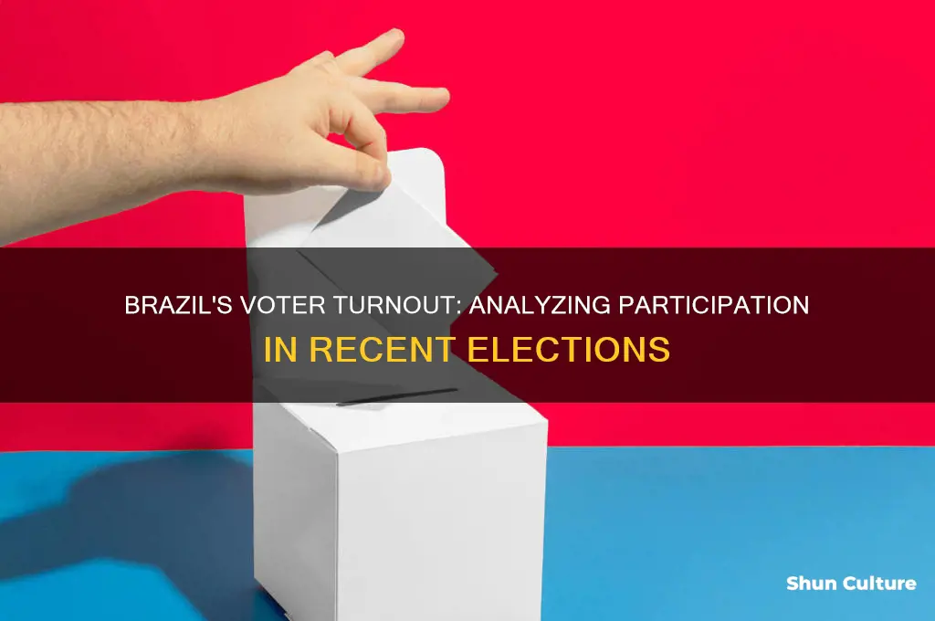 how many people voted in brazil