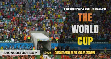 Brazil World Cup Attendance: How Many Fans Traveled in 2014?