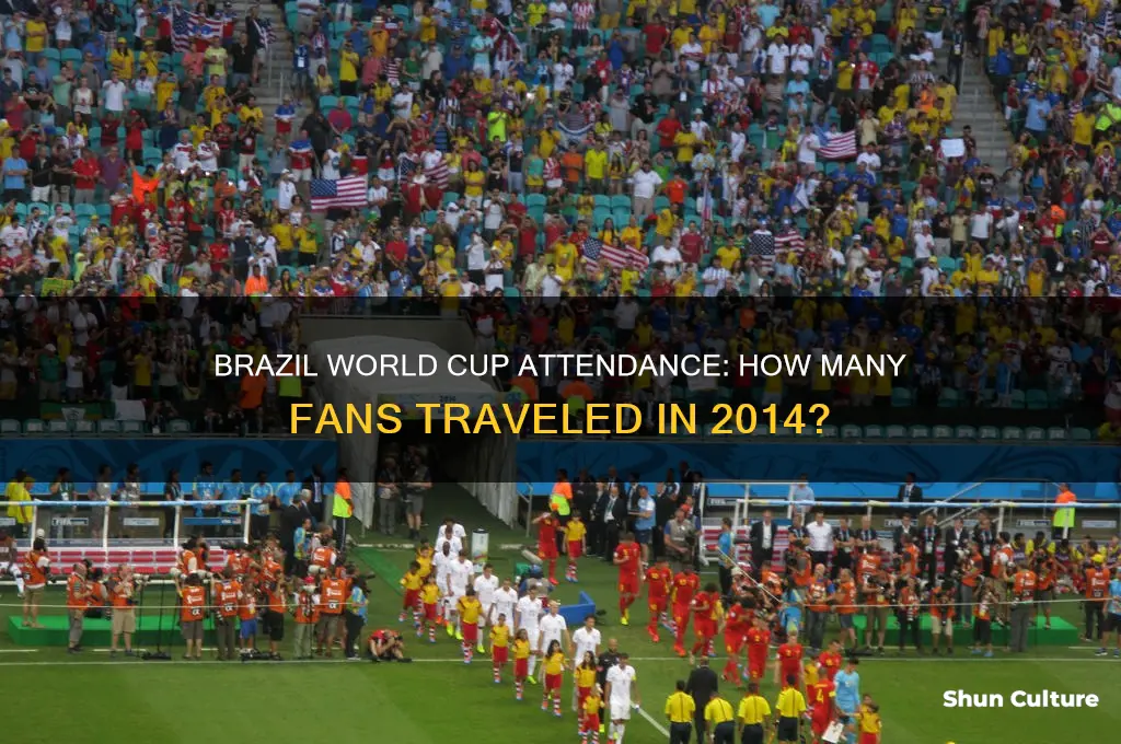 how many people went to brazil for the world cup