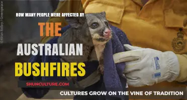 Devastating Impact: Australians Affected by Bushfires