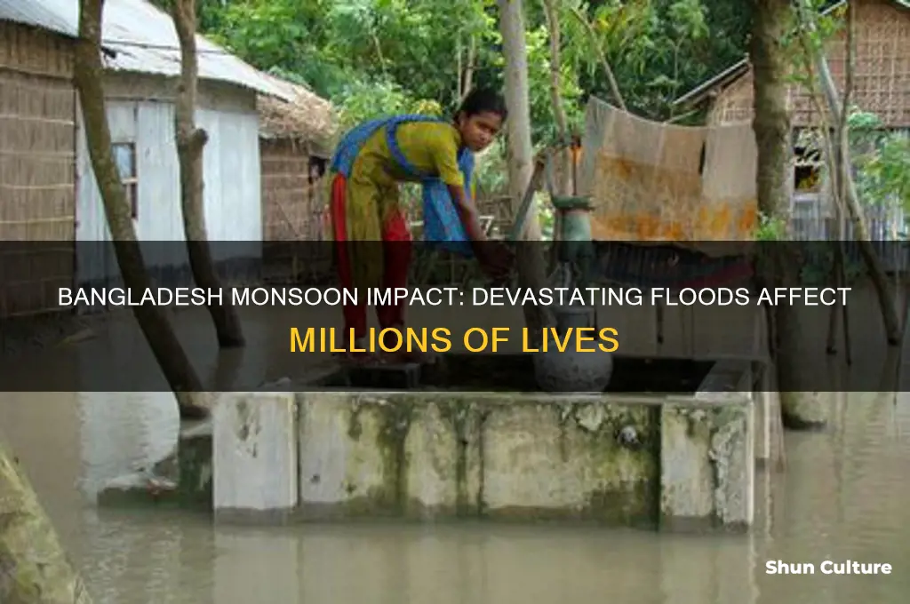 how many people were affected by the bangladesh monsoon