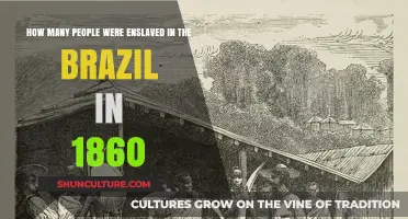 Brazil's Enslavement in 1860: Uncovering the Devastating Human Toll