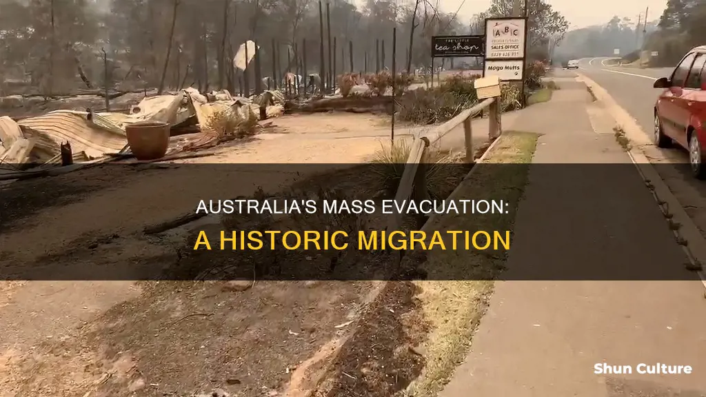 how many people were evacuated from australia