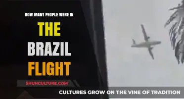 Brazil Flight Passenger Count: Unveiling the Number of Travelers Onboard