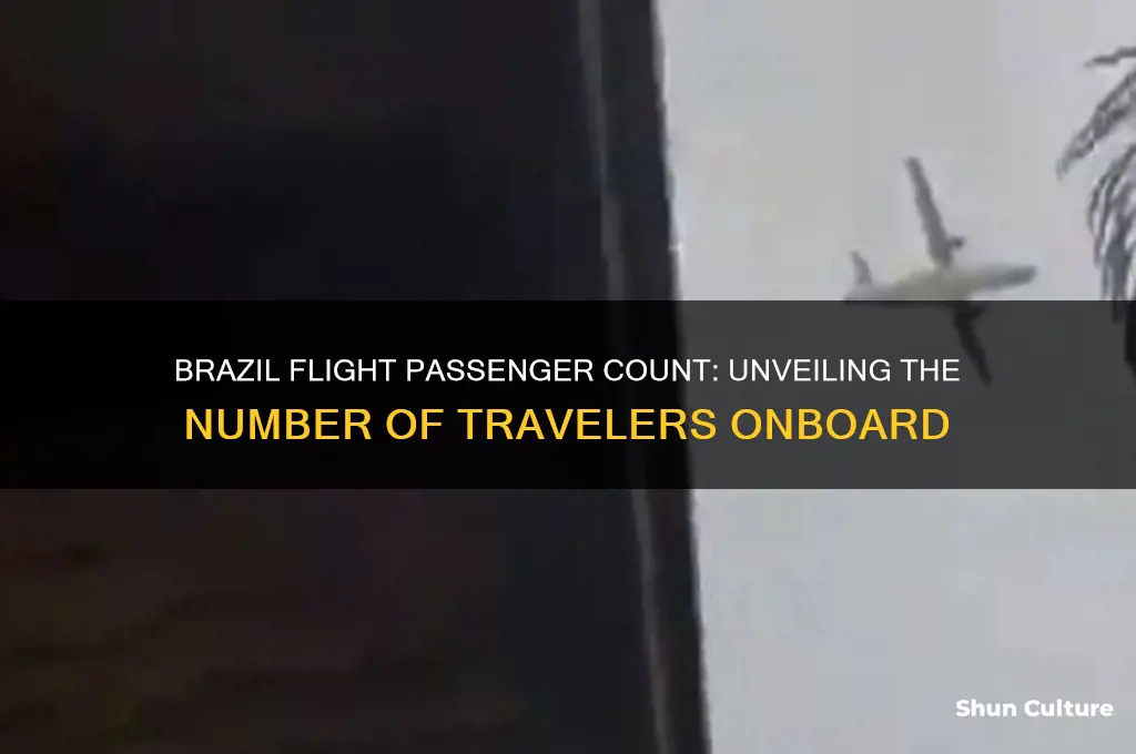 how many people were in the brazil flight