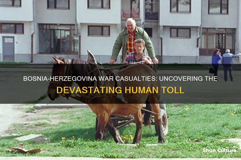 how many people were killed in the bosnia-herzegovina war