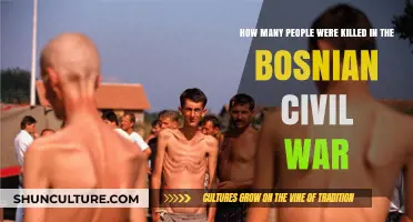 Bosnian Civil War Casualties: Uncovering the Devastating Human Toll