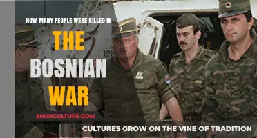 Bosnian War Casualties: Uncovering the Devastating Human Toll