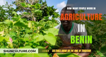 Exploring Benin's Agricultural Workforce: A Deep Dive into the Sector's Human Capital