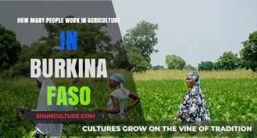 Agricultural Workforce in Burkina Faso: A Comprehensive Overview