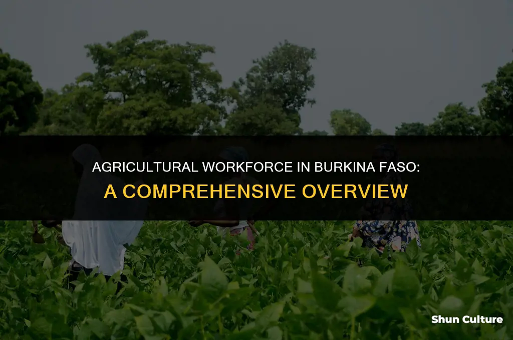 how many people work in agriculture in burkina faso