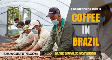 Brazil's Coffee Workforce: Exploring the Vast Industry Employment Numbers