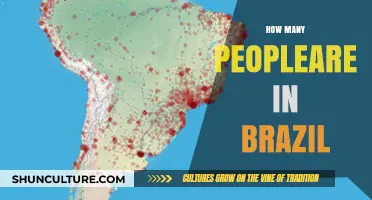 Exploring Brazil's Population: How Many People Call It Home?