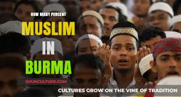 Exploring the Rich Diversity: Muslim Population in Burma