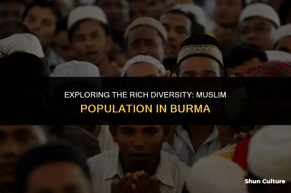 how many percent muslim in burma
