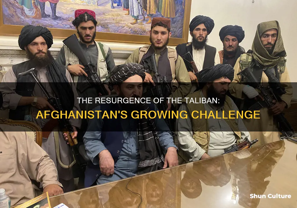 how many percent of afghanistan is under taliban