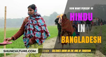 Hindu Population in Bangladesh: Understanding the Percentage and Trends